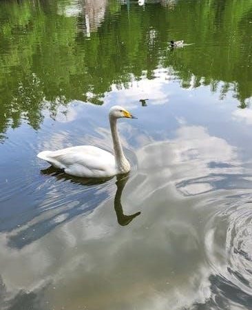 greasy lake pdf