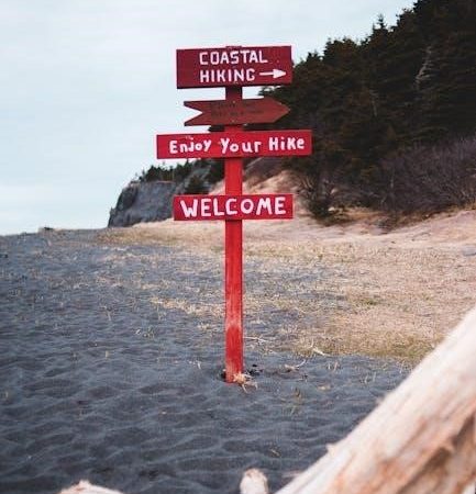 update guide etsiosapp