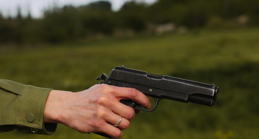 holewor gun safe manual