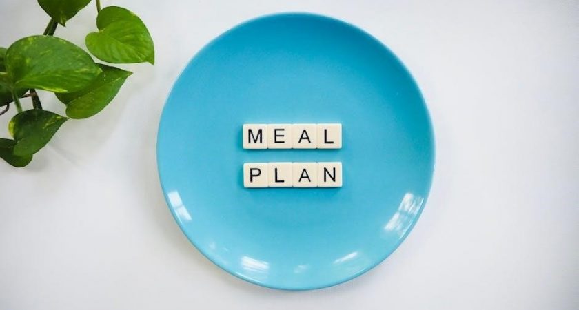 meal planning for beginners pdf