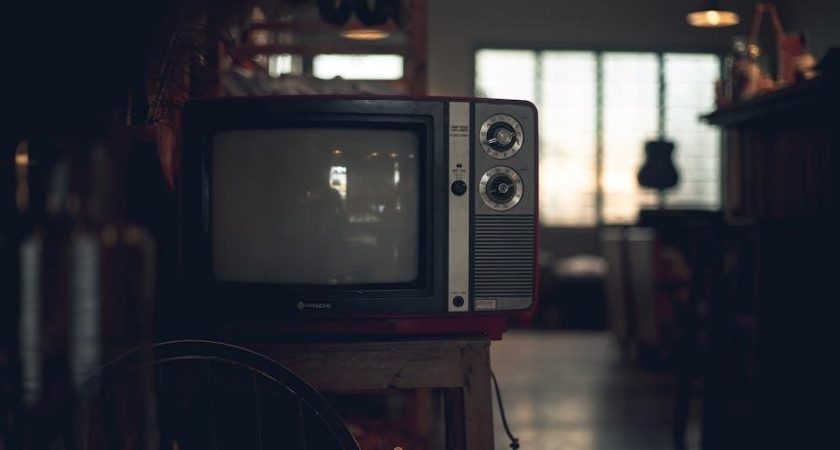 victor electronic rat trap instructions